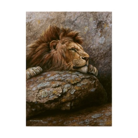 Harro Maass 'Lion Male 2' Canvas Art,18x24